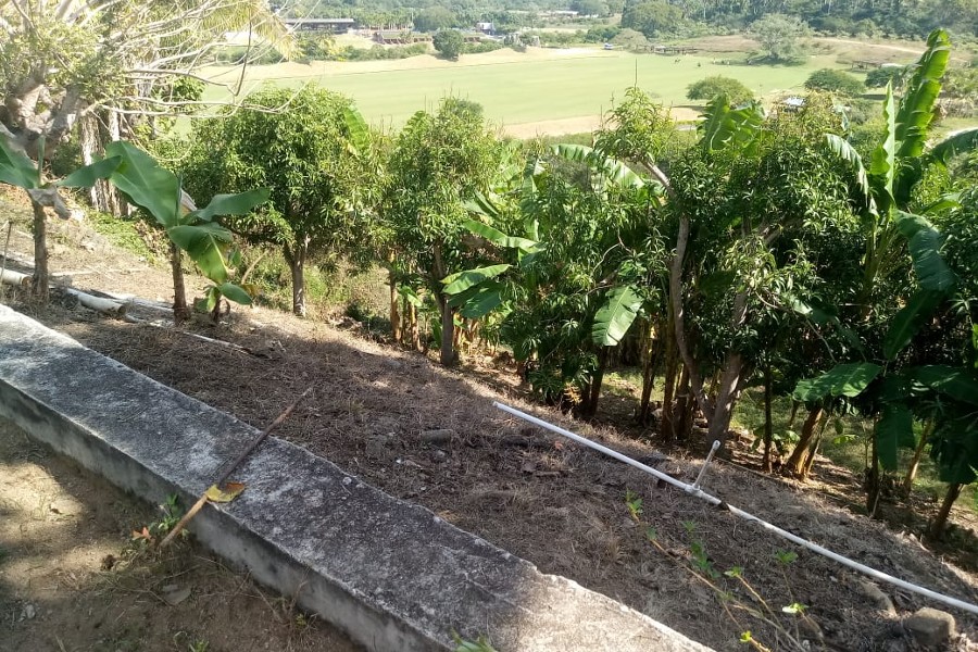 Lote Nob Hill 2 San Pancho Lot for sale in San Pancho