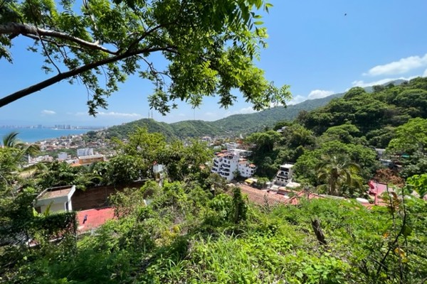 Photo of Aguacate Lot