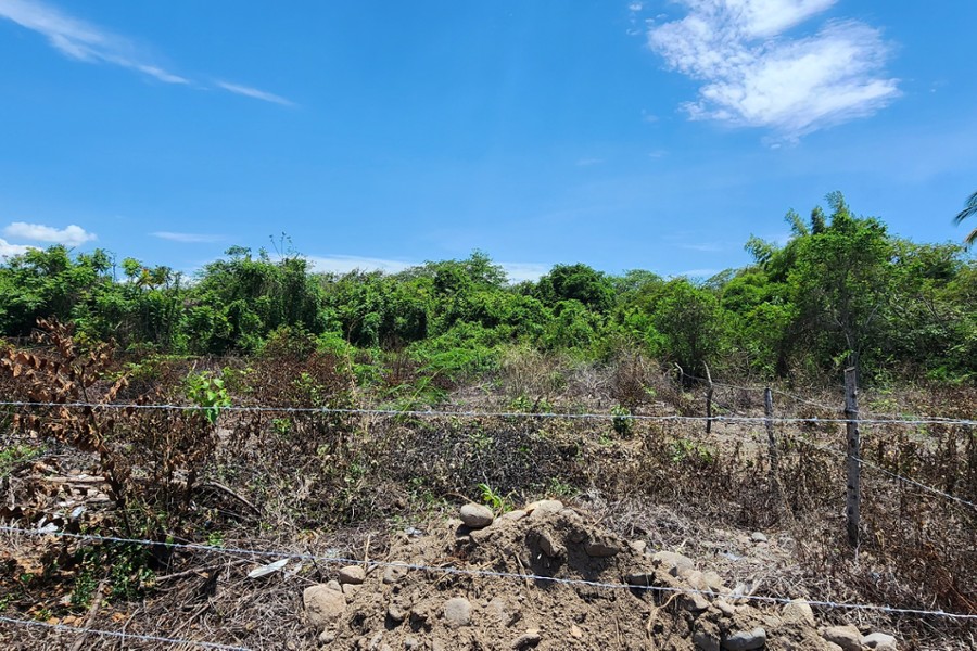 Lot Cardenal  Lot for sale in Guayabitos