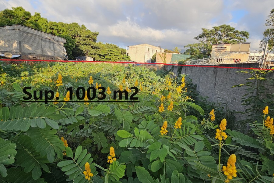 New Brasil Lot for sale in Rio Pitillal North