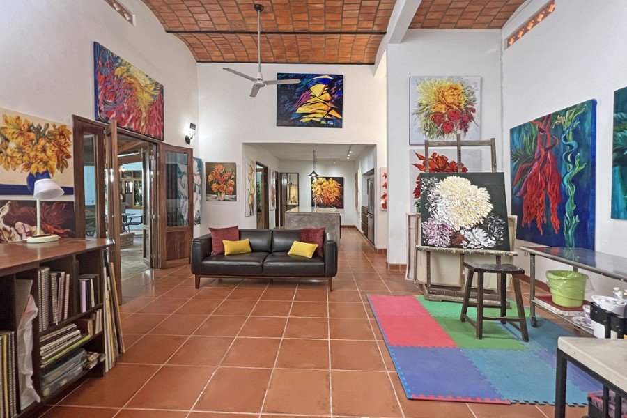 Casa De Arte  House for sale in San Pancho